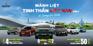 Chính sách hấp dẫn tháng 6