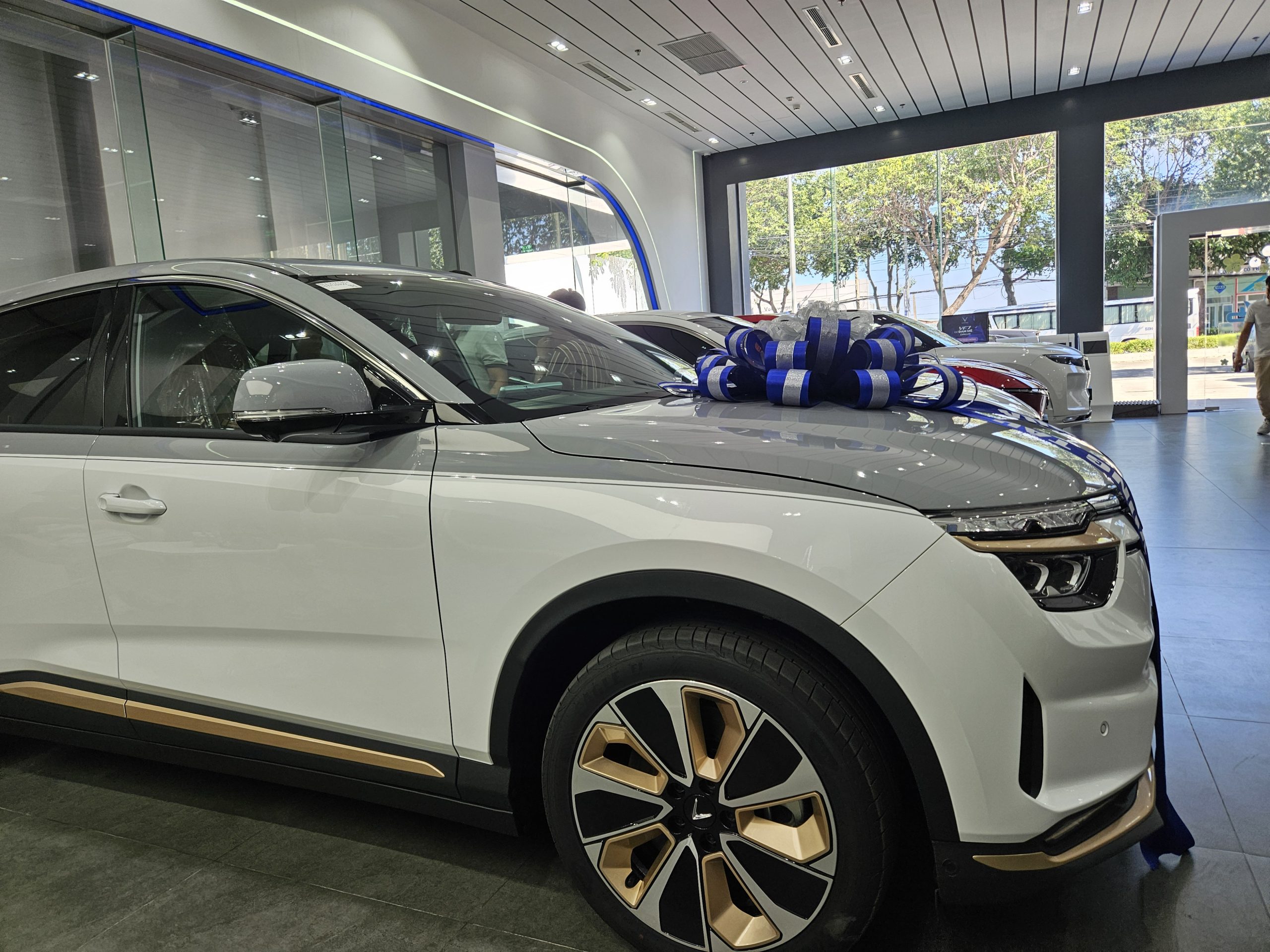 khu vực trưng bày xe tại VinFast Minh Đạo Vũng Tàu